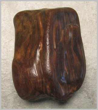Petrified Wood