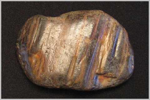 Petrified Wood