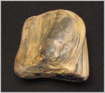 Petrified Wood